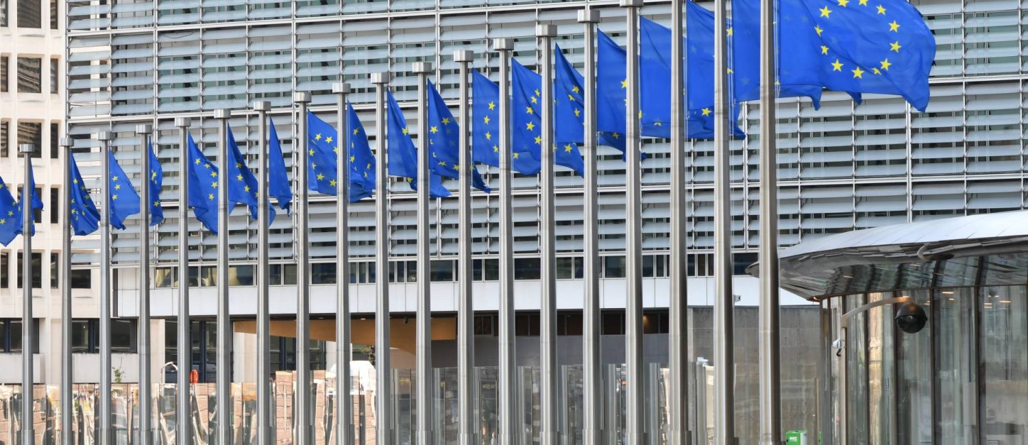 European Maritime Safety Agency