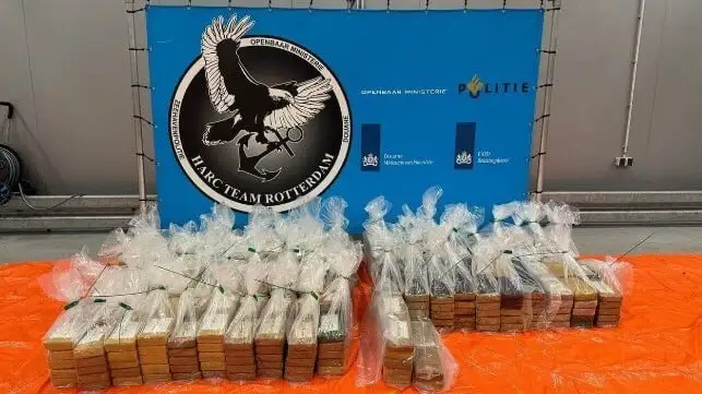 Понад 700 кг кокаїну вилучили в порту Роттердам