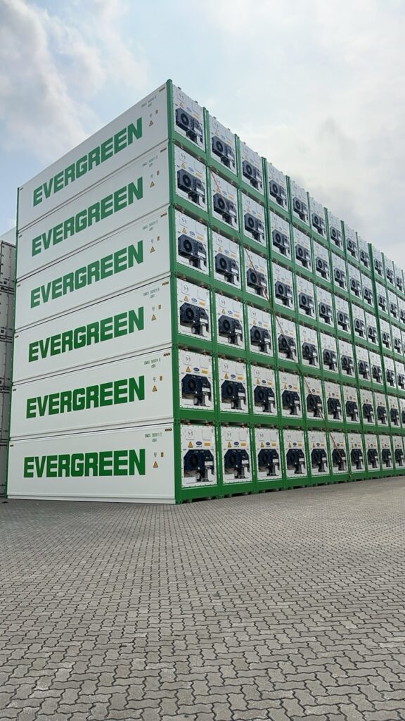 Evergreen refrigerators