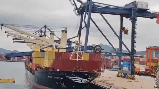 Кран впав на контейнеровоз MSC Riona