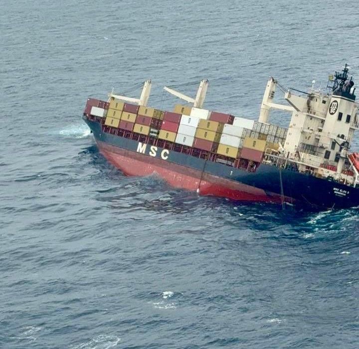 MSC_Elsa_3