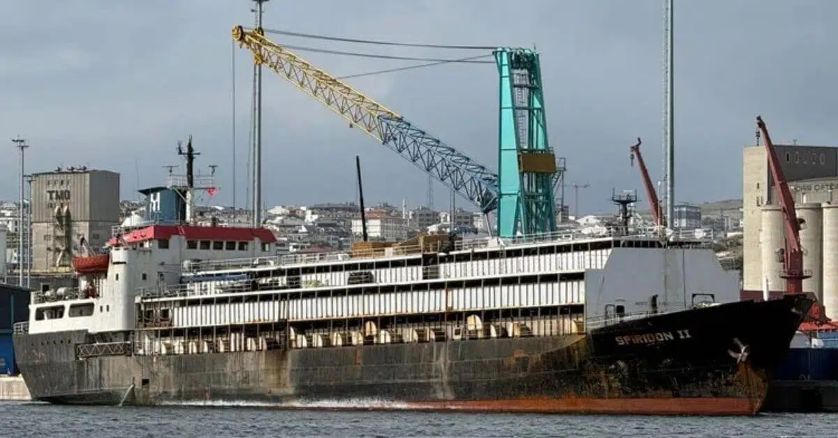 Livestock carrier stranded off Turkey