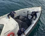 Death toll rises to 31 in Philippine ferry sinking disaster