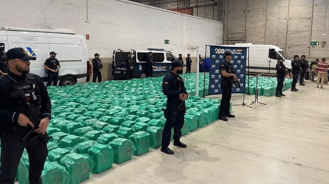 Spanish authorities dismantled a drug smuggling network