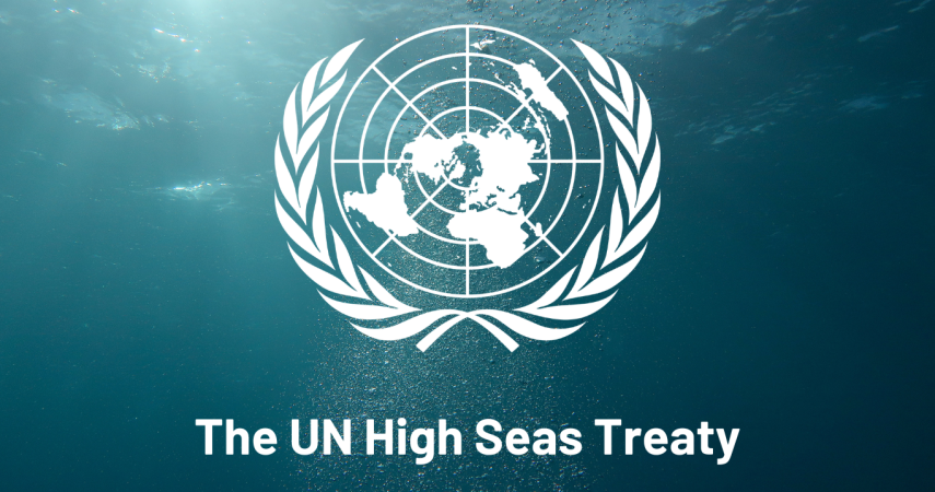 UN High Seas Treaty enters into force