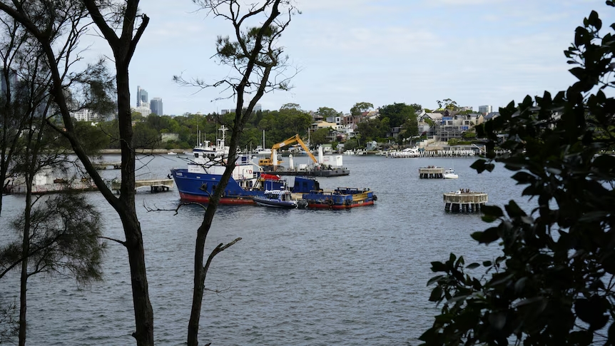 MV Raider cocaine seizure: vessel escorted into Sydney