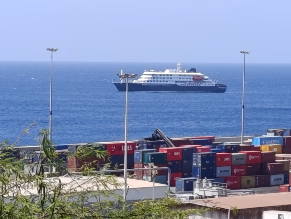 Hantavirus outbreak on cruise ship leaves three dead