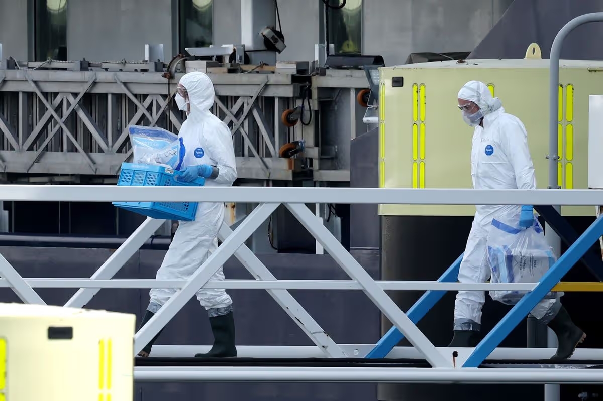 Liner Hondius Cleared After Hantavirus Outbreak