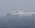 14 Indian seafarers were saved in Arabian Sea after their vessel sank