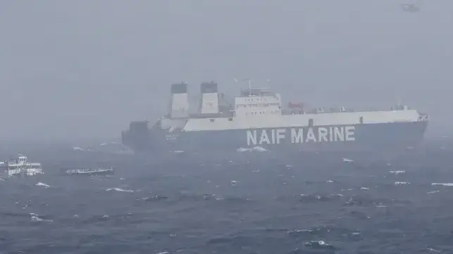 14 Indian seafarers were saved in Arabian Sea after their vessel sank