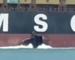 MSC Sariska V Attack Reported Off Iraq