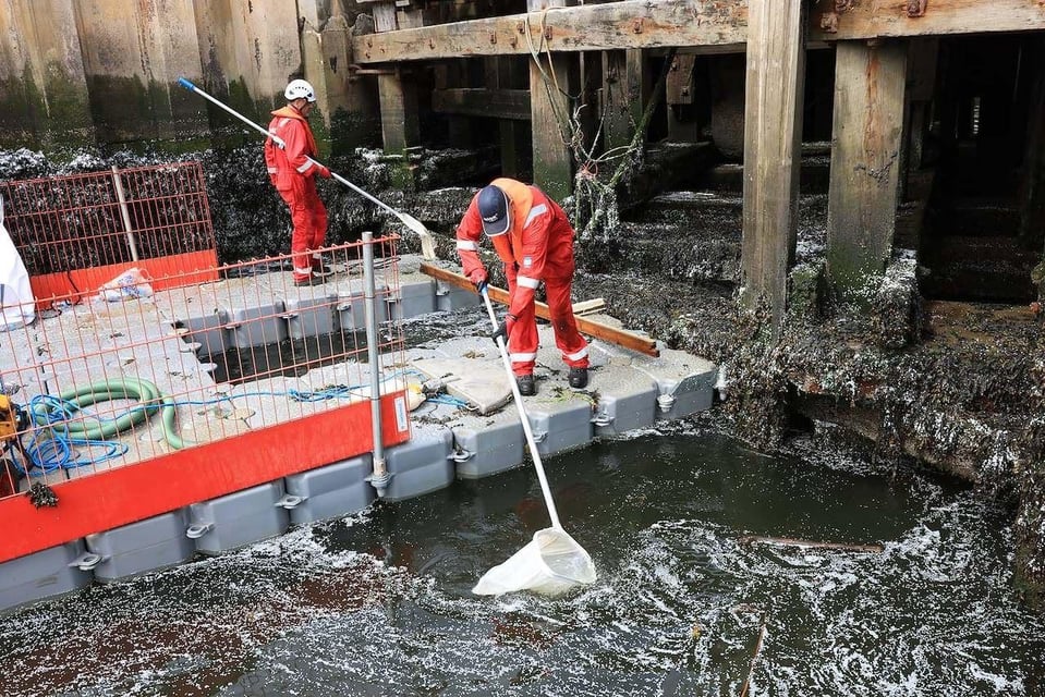 Port of Tyne cleans up major plastic pellet spill