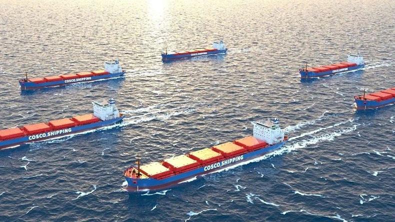 COSCO Shipping Development has announced orders for 24 dry bulk vessels