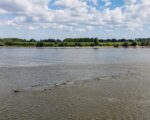 Record-low Danube levels disrupt inland shipping