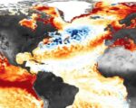Global sea surface temperatures reach record high