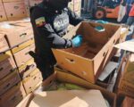 Ecuador seizes cocaine from a container at the Port of Guayaquil.