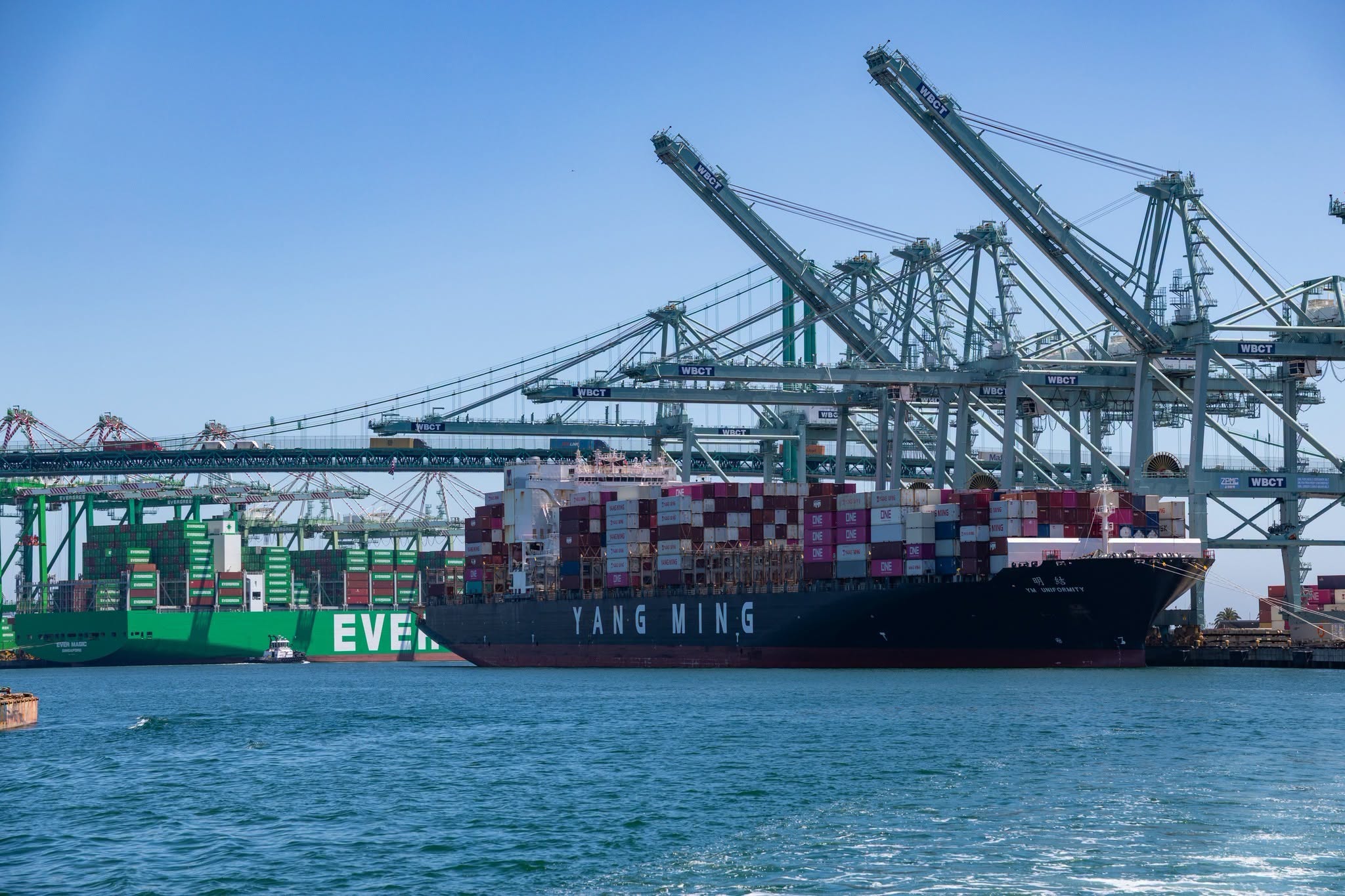TEU Capacity