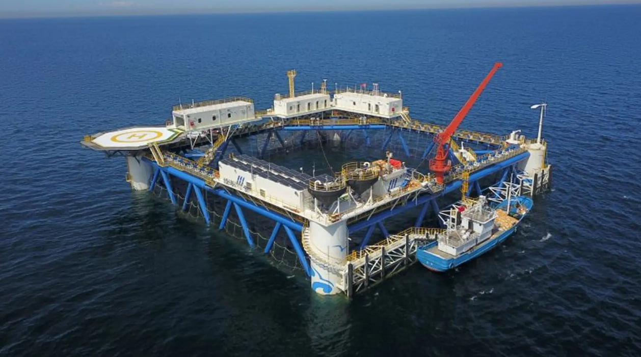 China tests bamboo solar platform